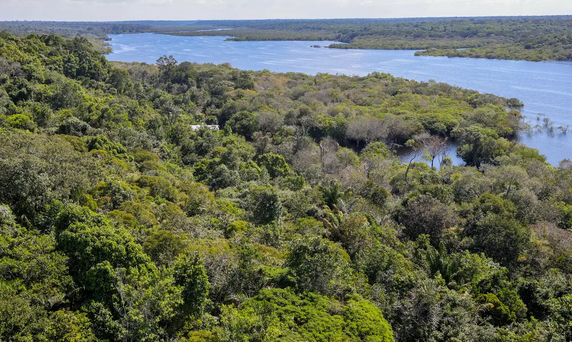 TFFF: novo fundo global reconhece papel de povos indígenas na proteção das florestas, mas deixa quilombolas à margem