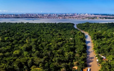 Pesquisa indica o que pensam os nortistas sobre o clima após a COP30