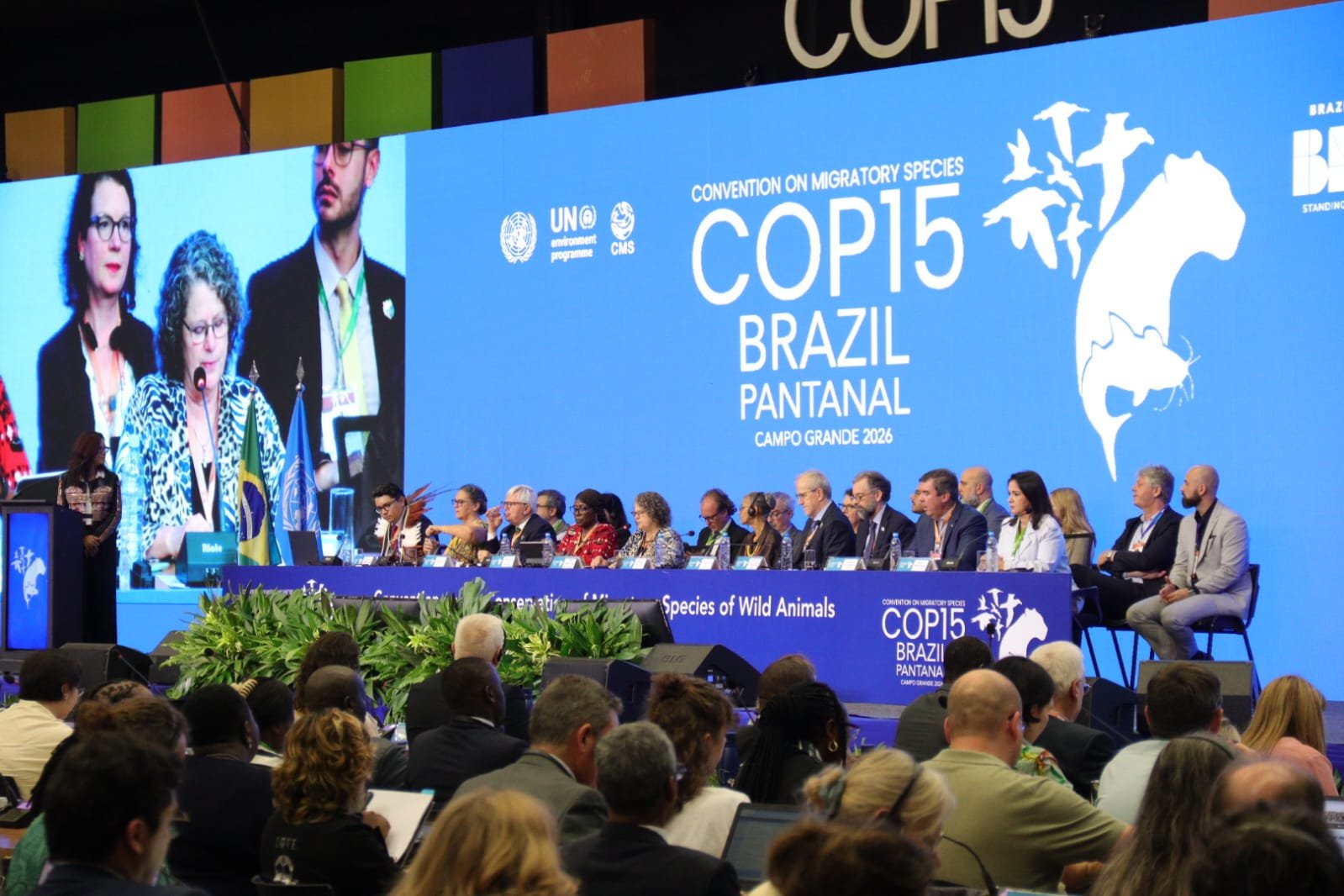 COP15: Conferência da ONU, realizada no Brasil, debate como os animais migratórios ajudam a frear as mudanças climáticas