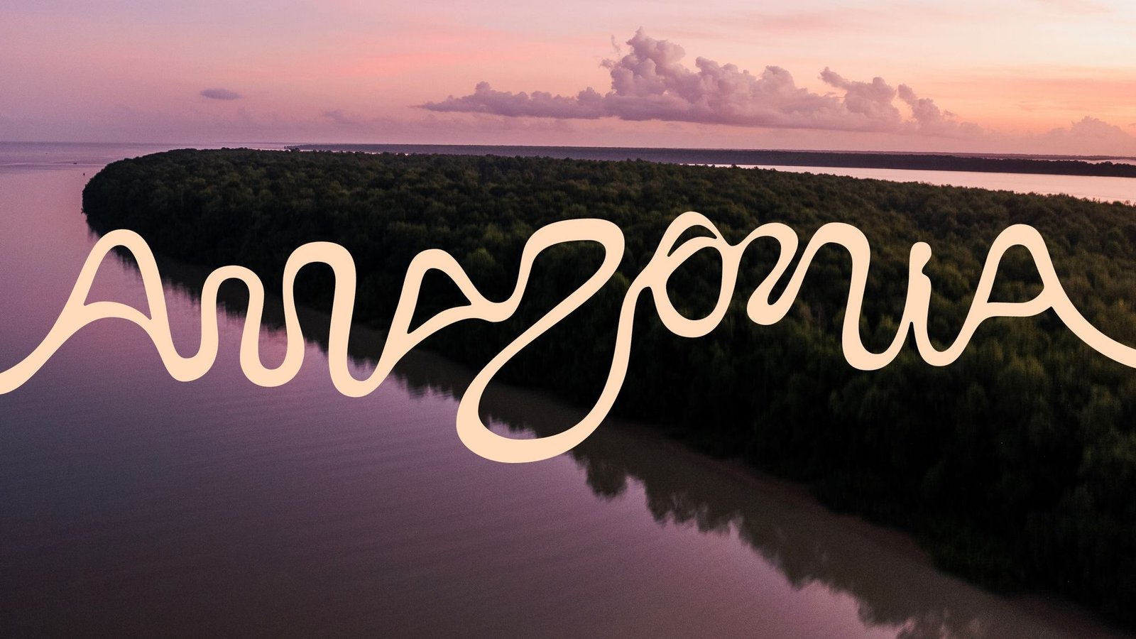 Lançada para atrair negócios para a região, a marca Amazônia também pode reforçar estereótipos sobre o território