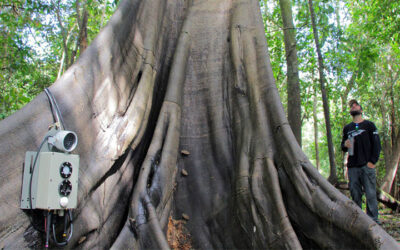 MEC investirá R$ 115 milhões em projetos de pós-graduação na Amazônia Legal