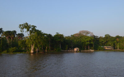 Projeto apoiado pelo Fundo Flora vai impulsionar restauração florestal em três territórios do Pará