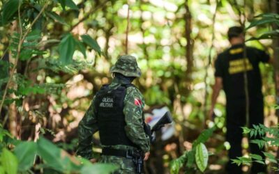 Pará lidera o ranking de denúncias ambientais na Amazônia