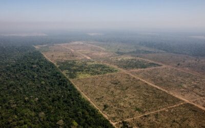 Câmara aprova projeto que reduz em quase 40% a Floresta Nacional do Jamanxim, no Pará