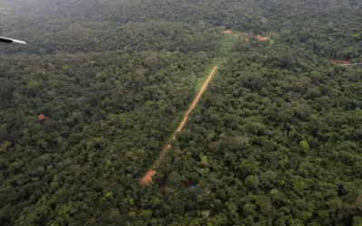 Amazônia tem quase 3 mil pistas de pouso clandestinas destinadas ao narcotráfico e garimpo ilegal