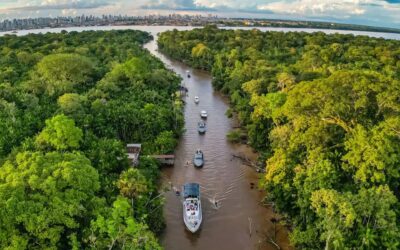 Carta Amazônia passa a integrar a rede da Climate Tracker América Latina