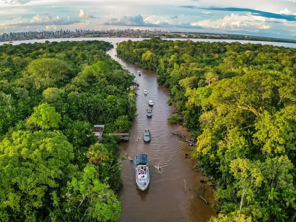 Carta Amazônia passa a integrar a rede da Climate Tracker América Latina