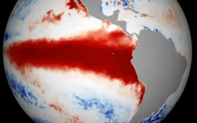 Super El Niño: Entenda os impactos que o fenômeno pode provocar na Amazônia