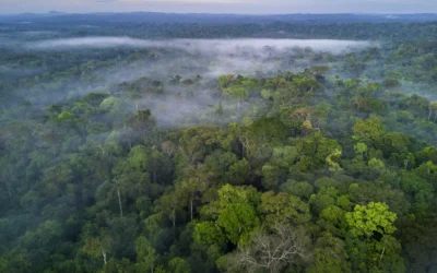Semana do Clima na Amazônia é patrocinada por mineradoras condenadas por crimes ambientais