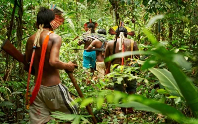 Transparência Internacional aponta negligência de estados na proteção de defensores ambientais na Amazônia