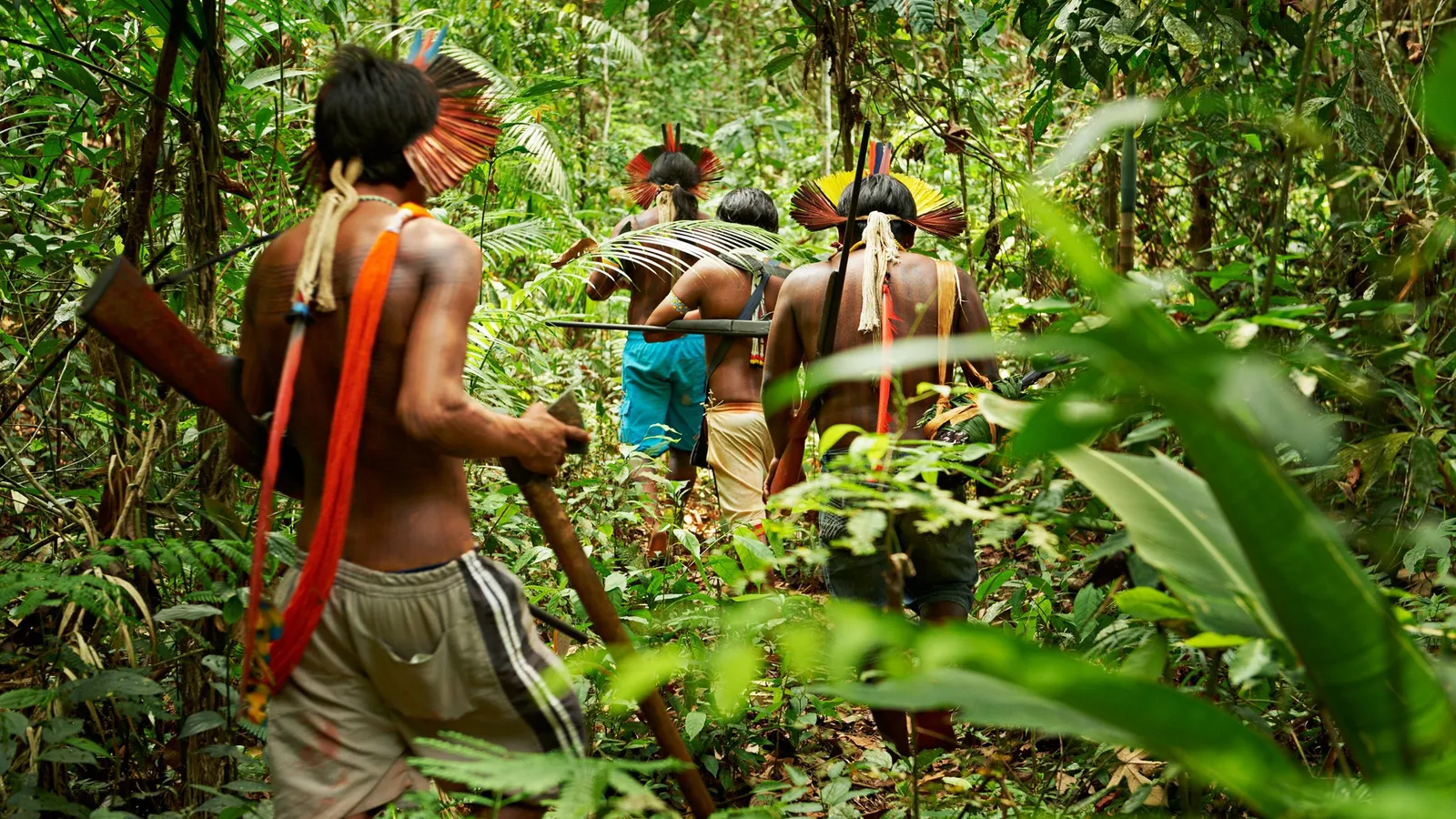 Transparência Internacional aponta negligência de estados na proteção de defensores ambientais na Amazônia