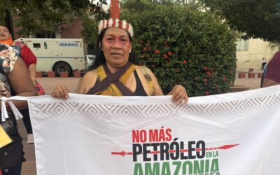 Climate Tracker lança bolsas de reportagem sobre mulheres e transição justa na América Latina