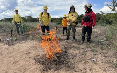 Brigadas voluntárias se preparam para enfrentar os efeitos do El Niño na Amazônia