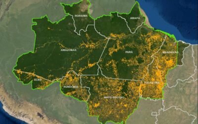 A Amazônia à venda na internet