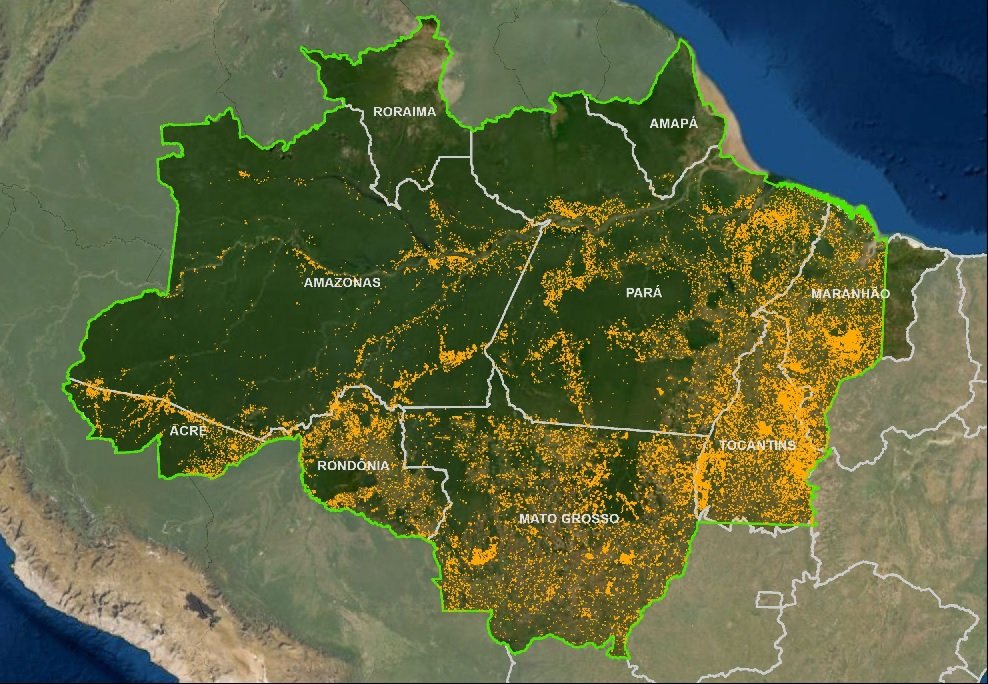 A Amazônia à venda na internet