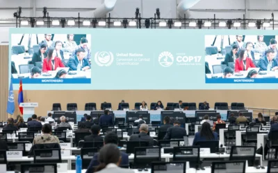 COP17 na Mongólia: saiba o que está em jogo e o que esperar da Conferência da Desertificação