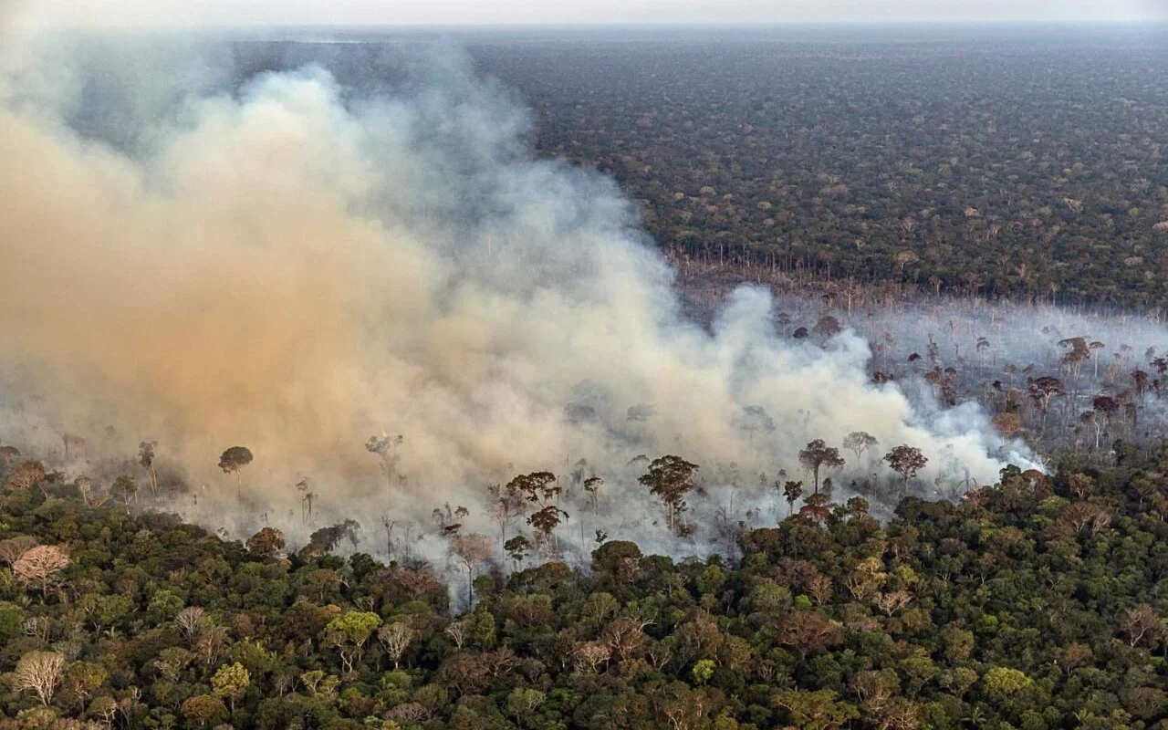 Campanha de desinformação bolsonarista culpa governo federal por fogo na Amazônia