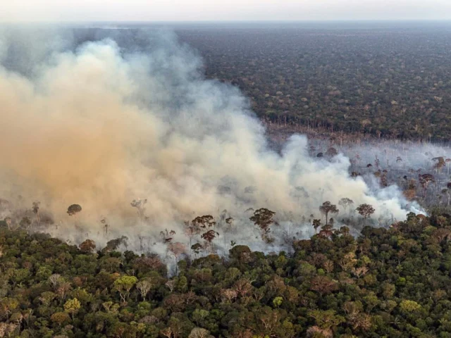 Campanha de desinformação bolsonarista culpa governo federal por fogo na Amazônia